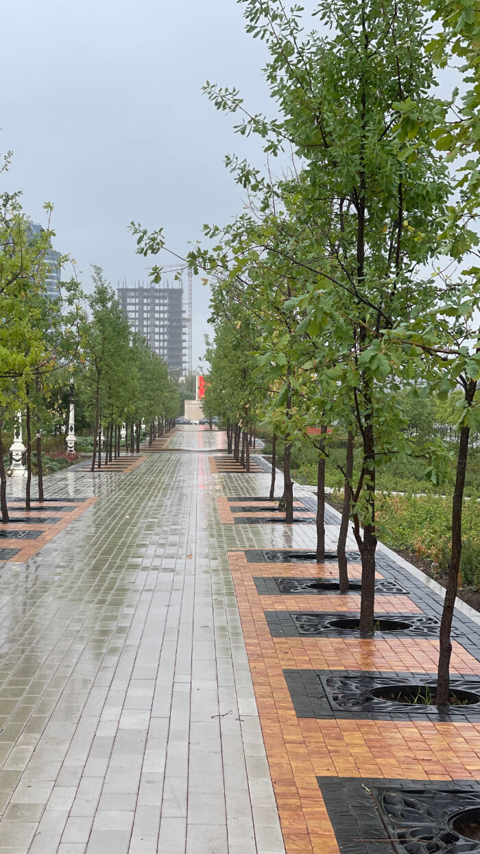 Приствольная решетка для дерева ZKING CRUST 1.2х1.2м Черная в Сухуме фото