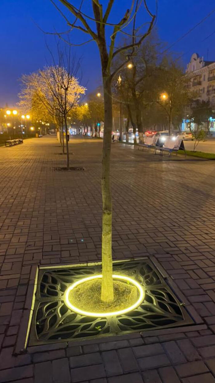 Приствольная решетка для дерева ZKING CRUST 1.2х1.2м Черная в Сухуме фото